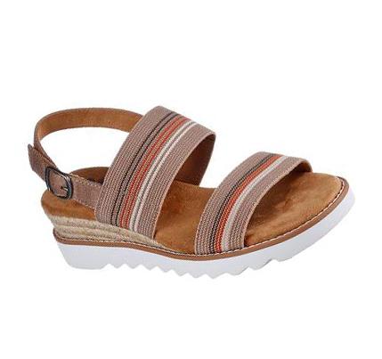 Zapatos Cuña Skechers BOBS Desert Kiss Hi - Tea Time Mujer Marrones | 31T8L_AR