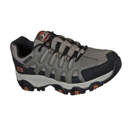 Zapatos De Senderismo Skechers Terrabite - Dellga Hombre Marrones Negras | 3T08C_AR